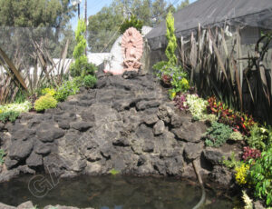 Xochimilco_Mexico_0502