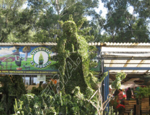 Xochimilco_Mexico_0517