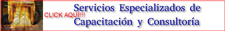IADARA_Desarrollo_de_Sistemas_y_Consultoria_Especializada-TOP003