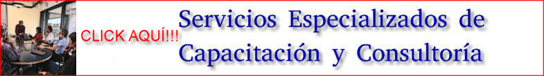 IADARA_Desarrollo_de_Sistemas_y_Consultoria_Especializada-TOP004