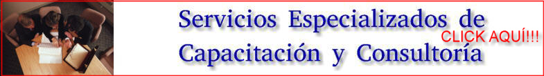 IADARA_Desarrollo_de_Sistemas_y_Consultoria_Especializada-TOP005